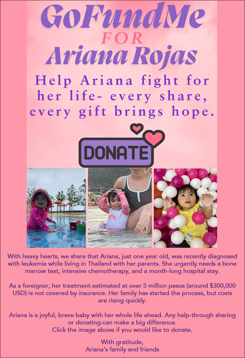 Go Fund Me for Ariana Rojas